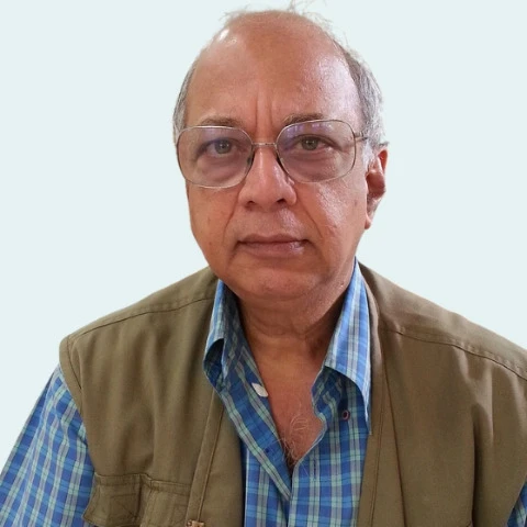 सतीश आळेकर
